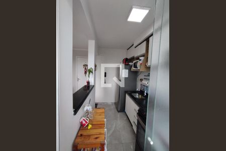 Cozinha - Torneira de apartamento para alugar com 2 quartos, 54m² em Vila Moraes, São Paulo