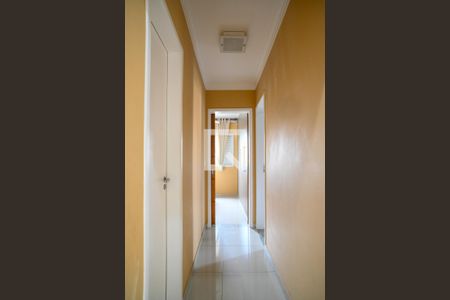 Corredor de apartamento à venda com 3 quartos, 74m² em Vila das Merces, São Paulo