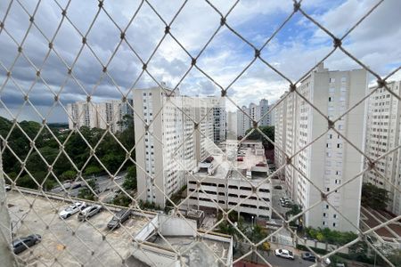 Vista de apartamento para alugar com 2 quartos, 43m² em Jardim Iris, São Paulo