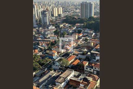 Apartamento à venda com 3 quartos, 125m² em Vila Dom Pedro I, São Paulo