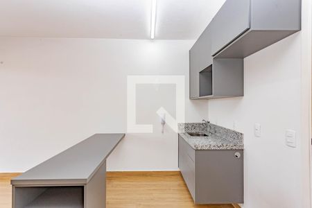 Cozinha do Studio de apartamento para alugar com 1 quarto, 33m² em Vila Nair, São Paulo