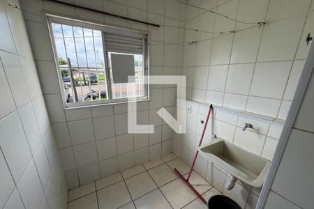 Cozinha - Lavanderia de apartamento para alugar com 2 quartos, 45m² em Jardim Florestan Fernandes, Ribeirão Preto