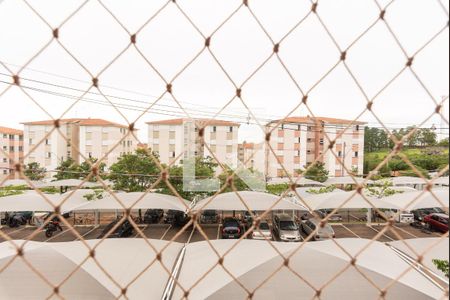 Vista do Quarto 1 de apartamento para alugar com 2 quartos, 50m² em Jardim Monte Alto, Campinas