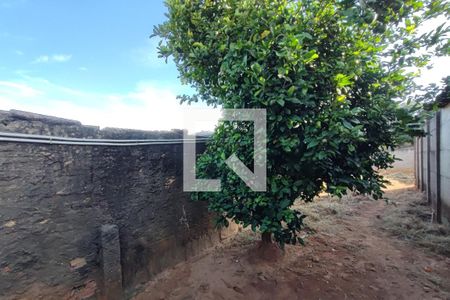 Casa à venda com 143m², 2 quartos e 4 vagas Casa à venda com 143m², 2 quartos e 4 vagasQuintal - Garagem