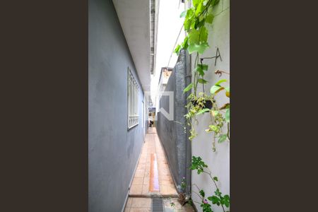 Casa à venda com 217m², 2 quartos e 2 vagas Casa à venda com 217m², 2 quartos e 2 vagasÁrea externa lateral