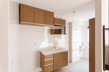 Cozinha de apartamento para alugar com 2 quartos, 45m² em Fundacao da Casa Popular, Campinas