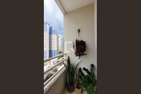 Varanda da Sala de apartamento à venda com 2 quartos, 64m² em Mansões Santo Antônio, Campinas