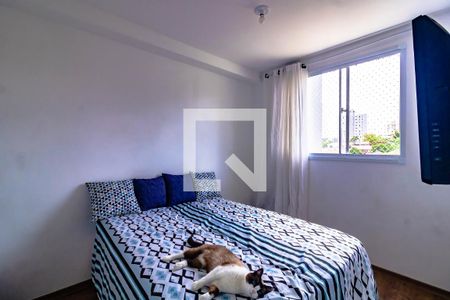 Quarto 2 de apartamento para alugar com 2 quartos, 36m² em Vila Santa Catarina, São Paulo