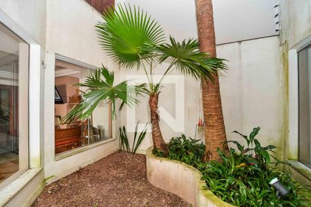 Sala/Jardim de Inverno de casa para alugar com 4 quartos, 372m² em Chácara das Pedras, Porto Alegre