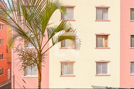 Vista do Quarto 1 de apartamento à venda com 2 quartos, 52m² em Baeta Neves, São Bernardo do Campo