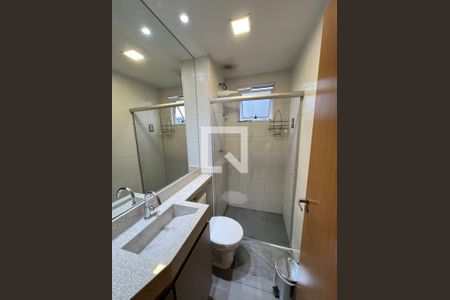 Banheiro de apartamento à venda com 2 quartos, 43m² em Bandeirantes (pampulha), Belo Horizonte