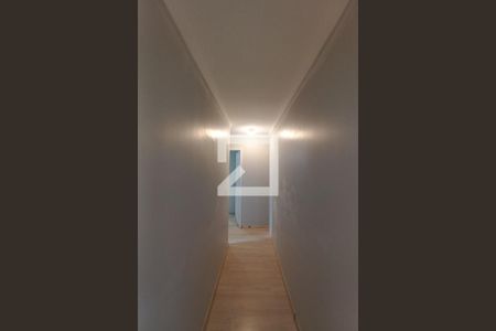 Corredor de apartamento para alugar com 2 quartos, 50m² em Vila Campos Sales, Campinas