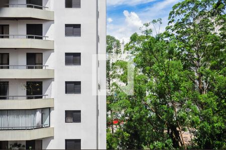 Vista de apartamento para alugar com 2 quartos, 50m² em Jardim Ampliacao, São Paulo