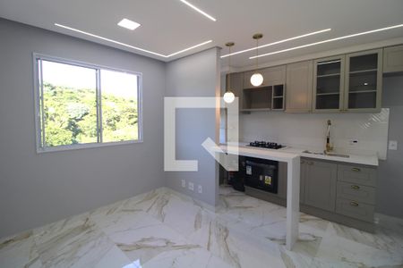 Sala de apartamento para alugar com 2 quartos, 35m² em Usina Piratininga, São Paulo