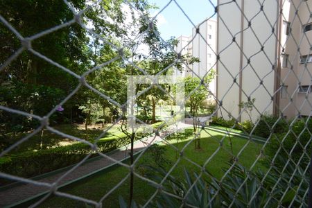 Vista do Quarto 1 de apartamento à venda com 3 quartos, 70m² em Jardim Taquaral, São Paulo