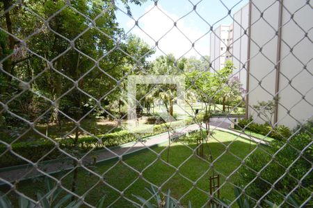 Vista da Sala de apartamento à venda com 3 quartos, 70m² em Jardim Taquaral, São Paulo