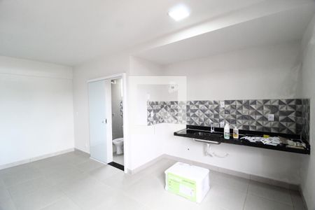 Sala/Quarto/Cozinha de kitnet/studio para alugar com 1 quarto, 33m² em Umuarama, Uberlândia