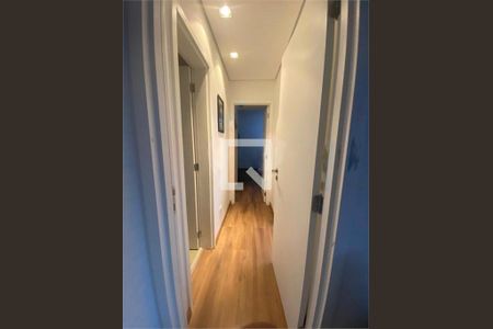 Apartamento à venda com 3 quartos, 81m² em Vila Monumento, São Paulo