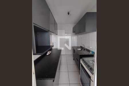 Cozinha - Armários de apartamento para alugar com 2 quartos, 55m² em Vila Gumercindo, São Paulo