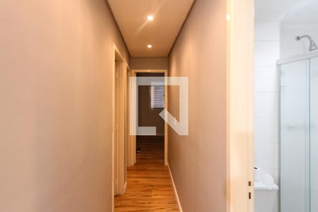 Corredor de apartamento para alugar com 3 quartos, 70m² em Vila Prudente, São Paulo