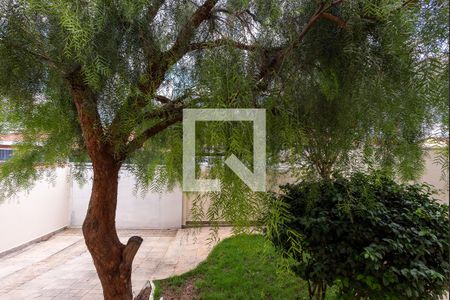 Vista da Sala de casa para alugar com 4 quartos, 320m² em Jardim Leonor, Campinas