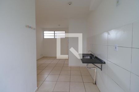 Cozinha de apartamento para alugar com 2 quartos, 43m² em Jardim Florestan Fernandes, Ribeirão Preto