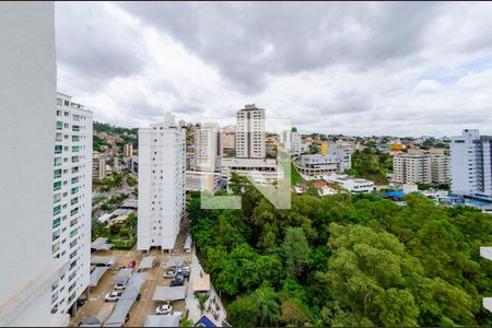 Vista de apartamento à venda com 2 quartos, 69m² em Buritis, Belo Horizonte