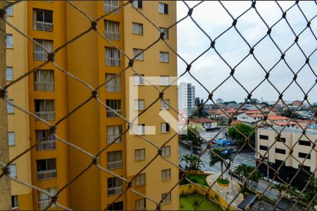 Vista da Sala de apartamento para alugar com 2 quartos, 55m² em Jardim Sao Judas Tadeu, Guarulhos