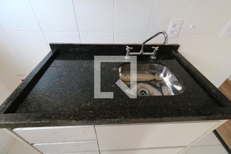 Sala e Cozinha - Pia de apartamento para alugar com 2 quartos, 52m² em Campestre, Santo André