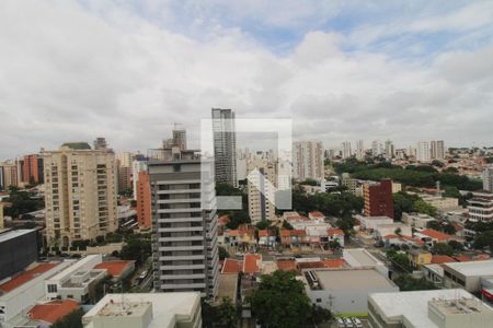 Vista de apartamento para alugar com 2 quartos, 104m² em Cambuí, Campinas