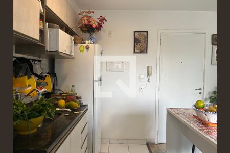 Cozinha e Área de Serviço de apartamento para alugar com 1 quarto, 31m² em Água Branca, São Paulo