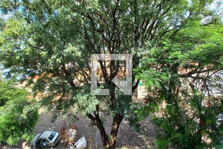 Vista do Quarto 1  de apartamento à venda com 2 quartos, 55m² em São Bernardo, Campinas