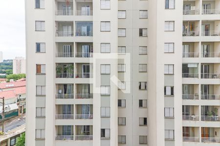 Vista do Quarto 1 de apartamento para alugar com 3 quartos, 59m² em Jardim Monte Alegre, São Paulo