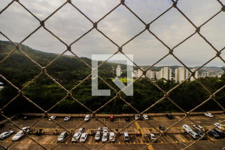 Vista de apartamento para alugar com 3 quartos, 67m² em Jardim Carvalho, Porto Alegre