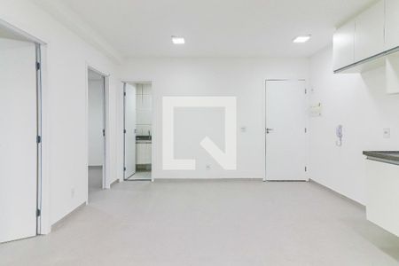 Sala e Cozinha de apartamento para alugar com 2 quartos, 44m² em Vila Sonia, São Paulo