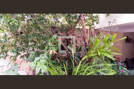 Casa à venda com 250m², 5 quartos e 4 vagas Casa à venda com 250m², 5 quartos e 4 vagasCasa 1 - Piscina