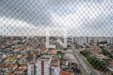 Vista da Sacada de apartamento para alugar com 2 quartos, 50m² em Vila Santa Catarina, São Paulo