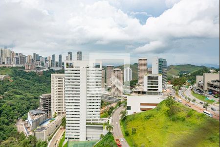 Sala de apartamento à venda com 4 quartos, 174m² em Vila das Flores, Nova Lima