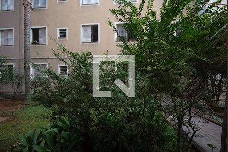 Vista da Sala de apartamento para alugar com 1 quarto, 45m² em Loteamento Parque São Martinho, Campinas