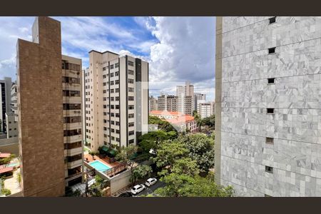 Vista da Varanda da Sala de apartamento à venda com 3 quartos, 115m² em Serra, Belo Horizonte