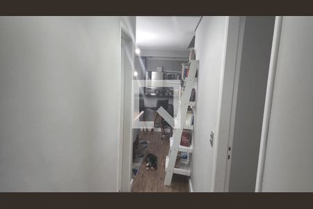 Foto 08 de apartamento à venda com 2 quartos, 50m² em Vila Arapua, São Paulo