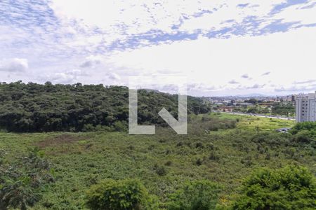 Vista da sala de apartamento à venda com 2 quartos, 51m² em Cabral, Contagem