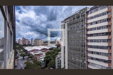 Quarto de apartamento para alugar com 3 quartos, 126m² em Centro, Belo Horizonte