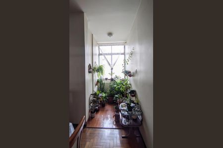 Sala de apartamento para alugar com 3 quartos, 126m² em Centro, Belo Horizonte