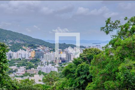 Vista de kitnet/studio para alugar com 1 quarto, 20m² em Pantanal, Florianópolis