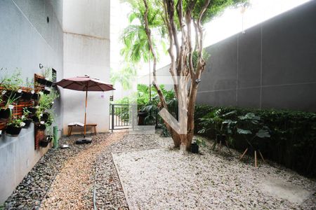 Studio para alugar com 26m², 1 quarto e sem vaga Studio para alugar com 26m², 1 quarto e sem vagaÁrea comum - Espaço Pet