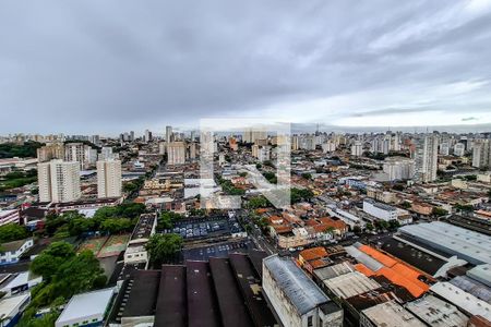 sala vista de apartamento para alugar com 2 quartos, 36m² em Cambuci, São Paulo