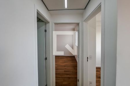 corredor de apartamento para alugar com 2 quartos, 36m² em Cambuci, São Paulo