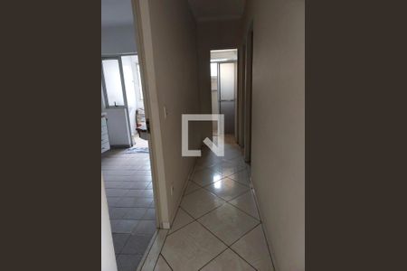 Foto 12 de apartamento à venda com 2 quartos, 55m² em Vila Maria Eugênia, Campinas