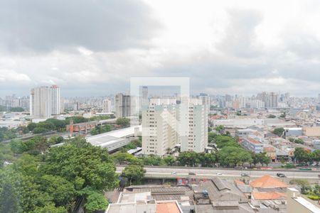 Apartamento à venda com 2 quartos, 52m² em Belenzinho, São Paulo